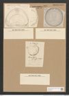 Campylodiscus kittonianus Grev. (de-Toni-Nr.: Genus 57, Species 2510) Zeichnungen Sammlung Grunow Nr. 5021 (NHMW-BOT-W0373276)